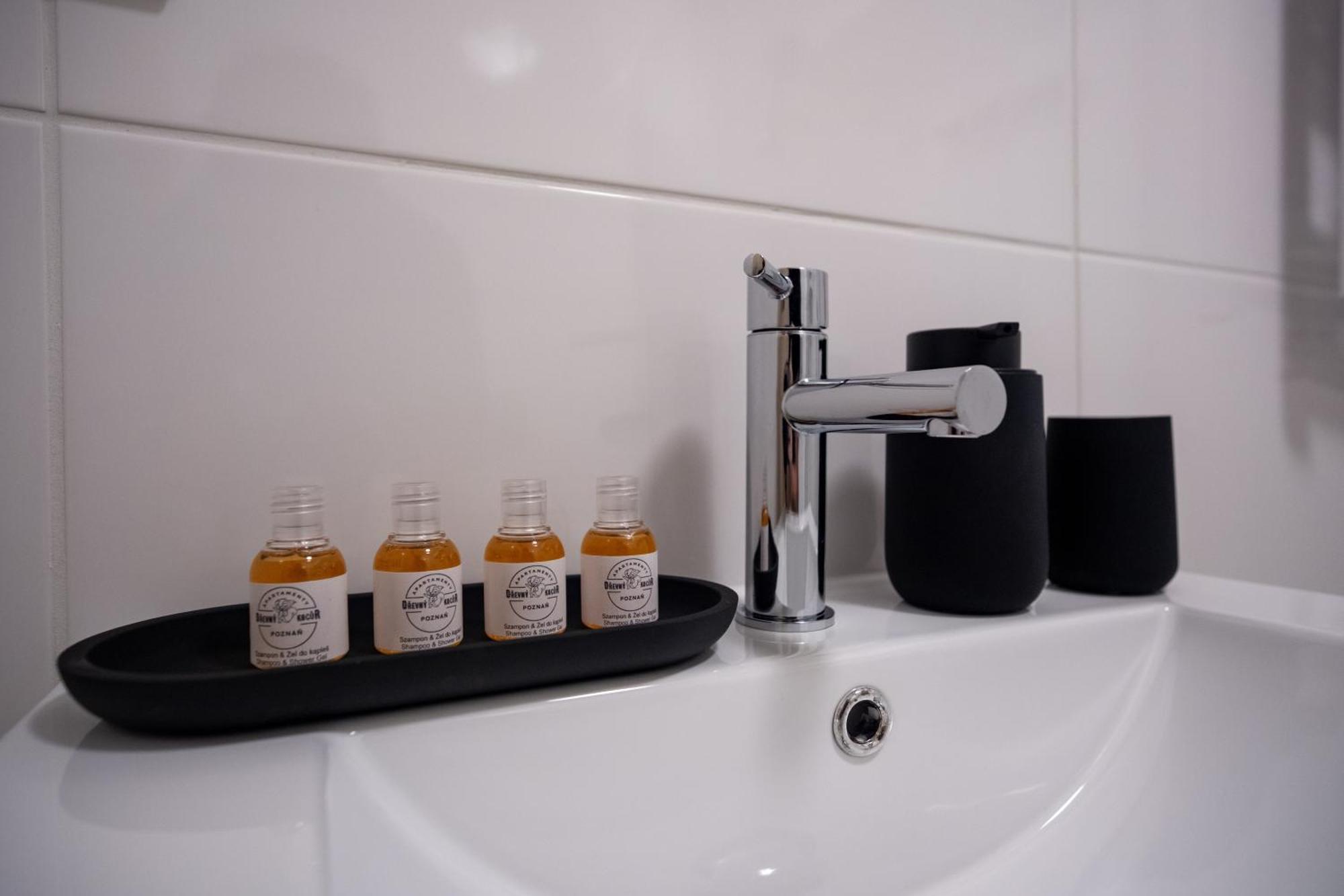 Apartamenty Drevny Kocur Poznań Extérieur photo
